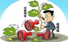 2015年中央第二輪專項(xiàng)巡視前瞻