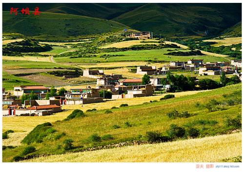 阿壩：綠色裝點(diǎn)幸福生活（在習(xí)近平新時(shí)代中國特色社會(huì)主義思想指