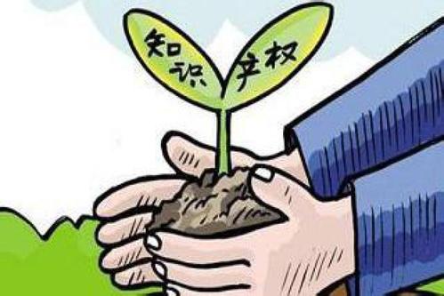 知識(shí)產(chǎn)權(quán)保護(hù)需各國(guó)攜手同行
