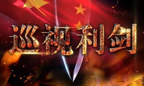 盯著問題出征 磨礪巡察利劍