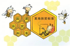 力克形式主義 方能精準(zhǔn)脫貧