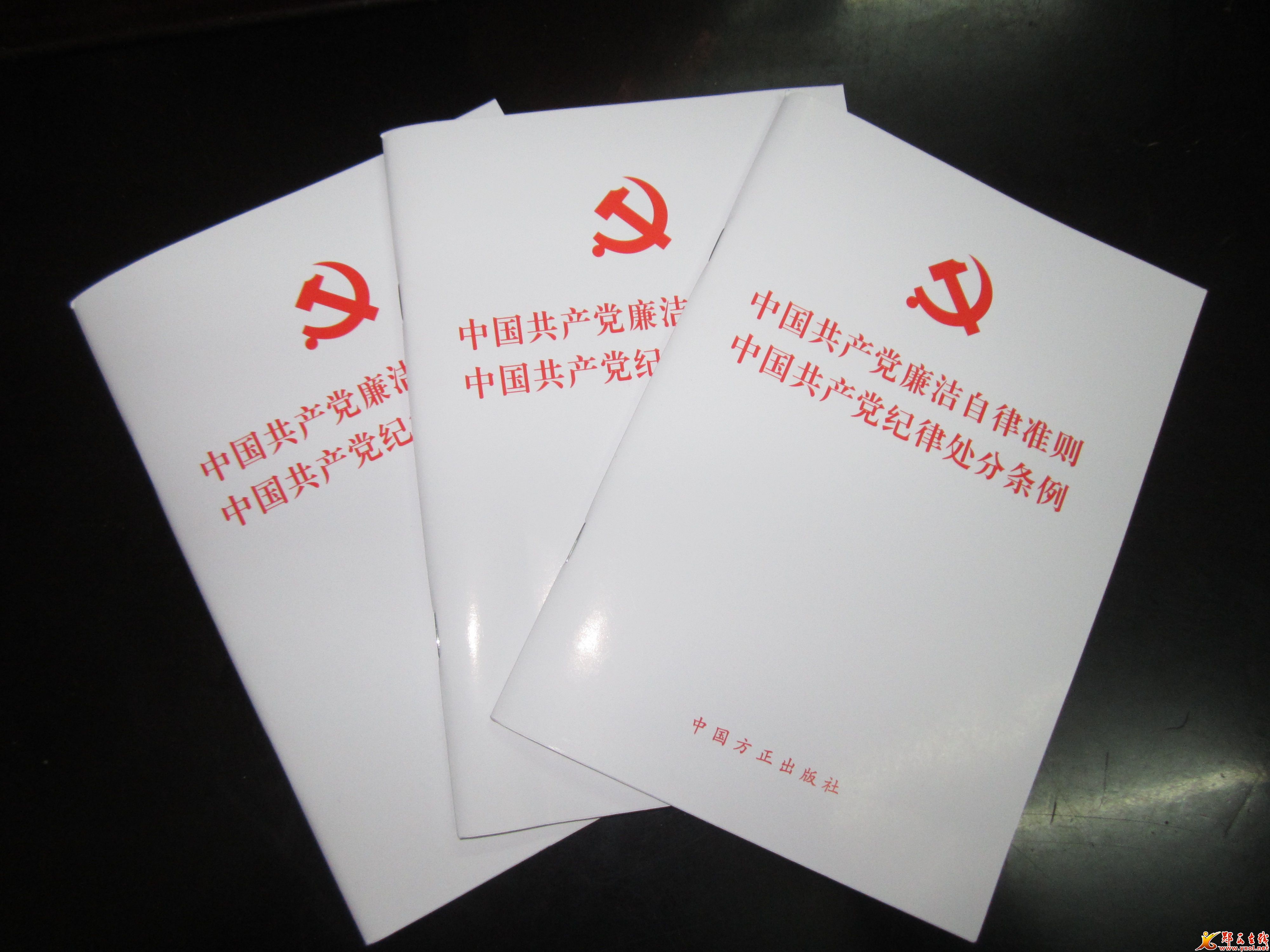 各級(jí)紀(jì)檢監(jiān)察機(jī)關(guān)傳達(dá)學(xué)習(xí)新修訂《條例》—忠實(shí)履行職責(zé) 把執(zhí)紀(jì)和執(zhí)法貫通起來