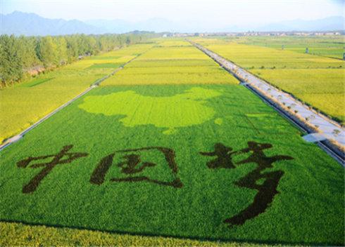 李克強(qiáng)主持召開(kāi)國(guó)務(wù)院常務(wù)會(huì)議