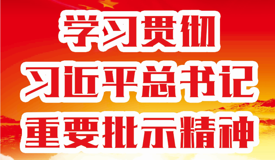 習(xí)近平對(duì)民政工作作出重要指示
