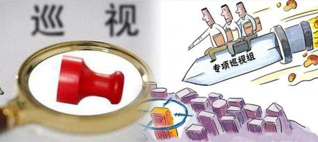 山東:對26個地方部門和單位黨組織開展巡視