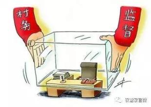 云南:持續(xù)推進村務監(jiān)督委員會明責履責