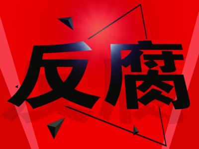 海南:發(fā)揮反腐敗協(xié)調(diào)小組職能 嚴密部署追逃追贓