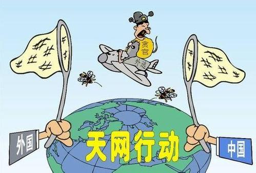 履行主辦責(zé)任 凝聚強大合力  改革為追逃追贓注入新動能