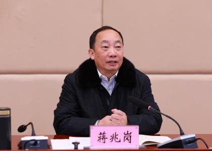 云南潛逃人員蔣兆崗被抓獲