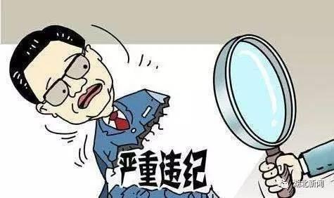 四川省雷波縣溪洛米鄉(xiāng)原鄉(xiāng)長馮瑩盈案件警示錄