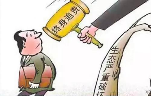 對重大典型案件直查督辦到底