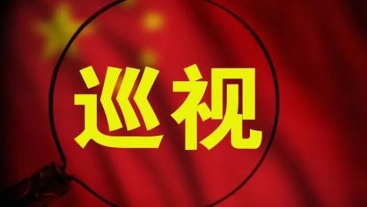 黑龍江:對(duì)39個(gè)地區(qū)和單位開展巡視
