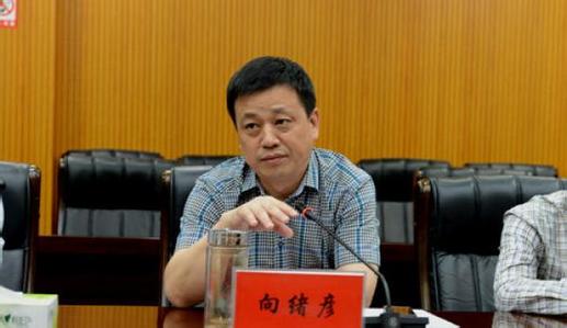 湖南檢察機(jī)關(guān)依法對(duì)向緒彥提起公訴