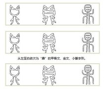 “一言九鼎”說“鼎”